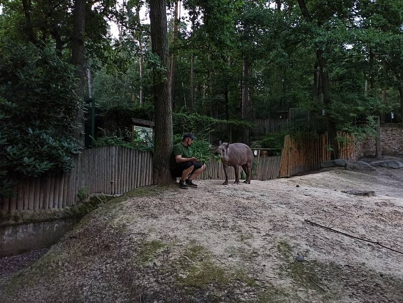 Děti si noc v Zoo užily, dozvěděly se celou řadu zajímavých informací.