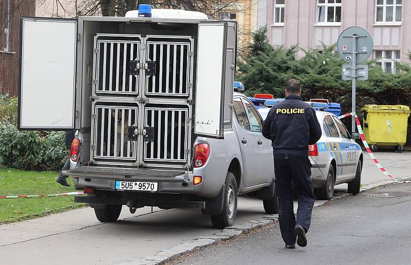 Policisté prohledávali v Děčíně Kokos. Anonym nahlásil bombu. 