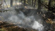 Požár lesa v Národním parku České Švýcarsko.