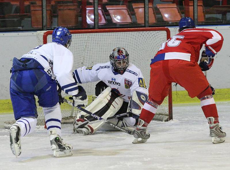 Dobročinné utkání mezi týmy Veteránů ČR a Olympem Praha se odehrálo na děčínském zimním stadionu ve středu v podvečer.