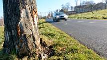 Zatáčka těsně před Jiřetínem pod Jedlovou je nebezpečná. Tragická dopravní nehoda se tu stala před několika dny.