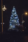 Vánoční strom ve Velkém Šenově.