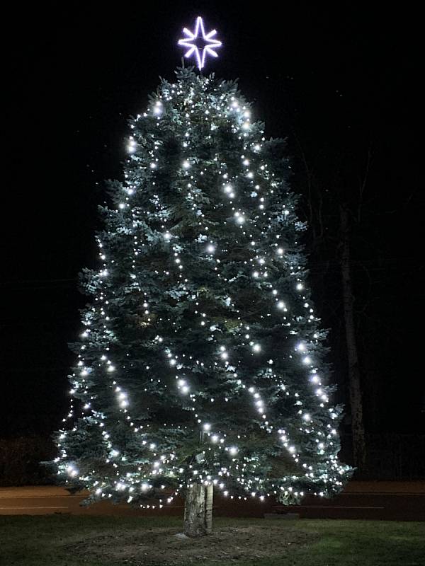 Vánoční strom u obecního úřadu v Horním Podluží