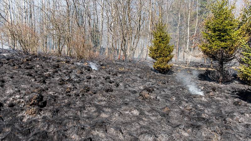 V Krásné Lípě hořely dva hektary louky.