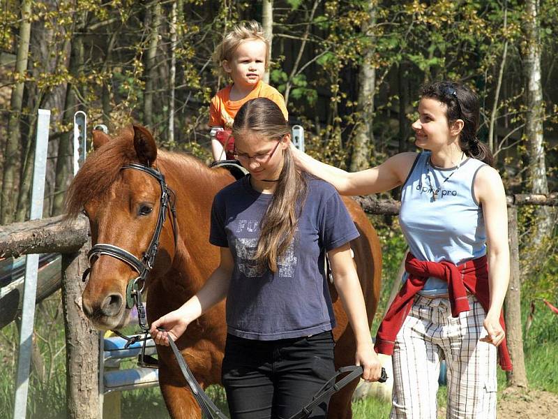 Super počasí a také oslava Dne Země přilákala v sobotu 24. dubna do děčínské zoo téměř tisícovku návštěvníků.