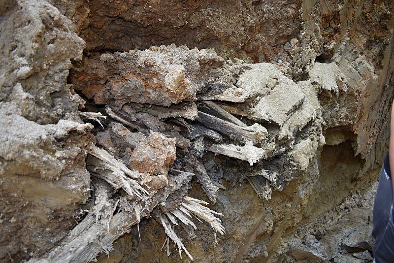 Opravu parku v České Kamenici přibrzdil nález kosterních ostatků.