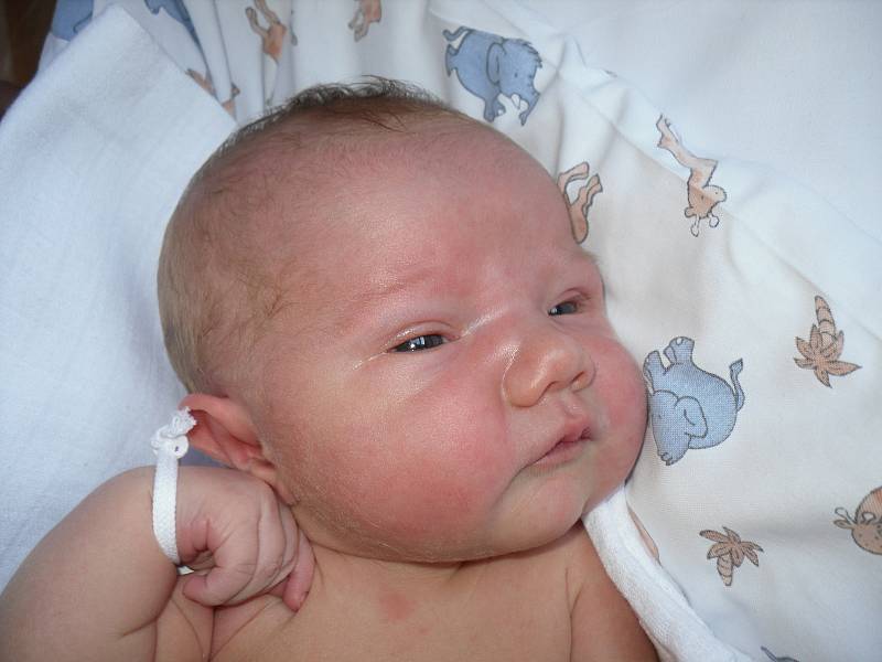 Mamince Lence Šírkové a tatínkovi Pavlu Hanuschovi z Valkeřic se ve čtvrtek 13. června v 10:08 hodin narodila dcera Kristýna Hanuschová.  Vážila 3,36 kg.