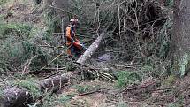 Na silnici ze Hřenska na Mezní Louku spadly desítky vzrostlých stromů.