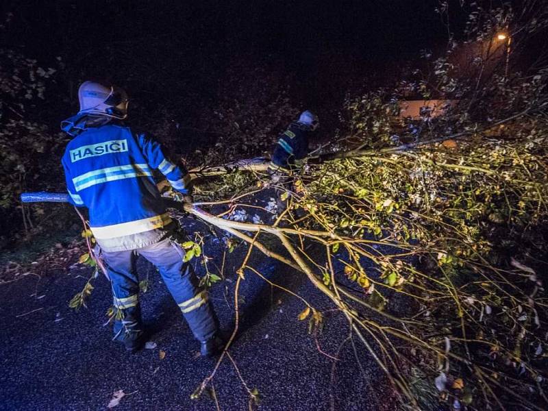 Hasiči v noci na středu odstraňovali spadlá strom v Děčínské ulici ve Varnsdorfu.