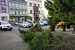 Letošní největší vánoční strom v Děčíně přivezli z Labské Stráně.