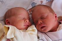 Adélka a Terezka Linhartovy Elisovy se narodily Šárce Linhartové z Dolních Habartic 12. listopadu v 8.08 a 8.11 v děčínské porodnici. Vážily 2,18 kg a 2,25 kg.