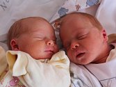 Adélka a Terezka Linhartovy Elisovy se narodily Šárce Linhartové z Dolních Habartic 12. listopadu v 8.08 a 8.11 v děčínské porodnici. Vážily 2,18 kg a 2,25 kg.