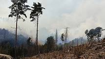 Ve Hřensku hasiči druhý den bojují s rozsáhlým lesním požárem.
