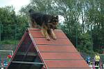 MĚSTSKÝ STADION v Děčíně hostil závody agility.