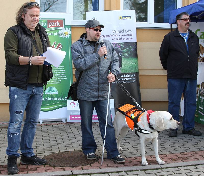 Závod vodících psů ve Varnsdorfu.