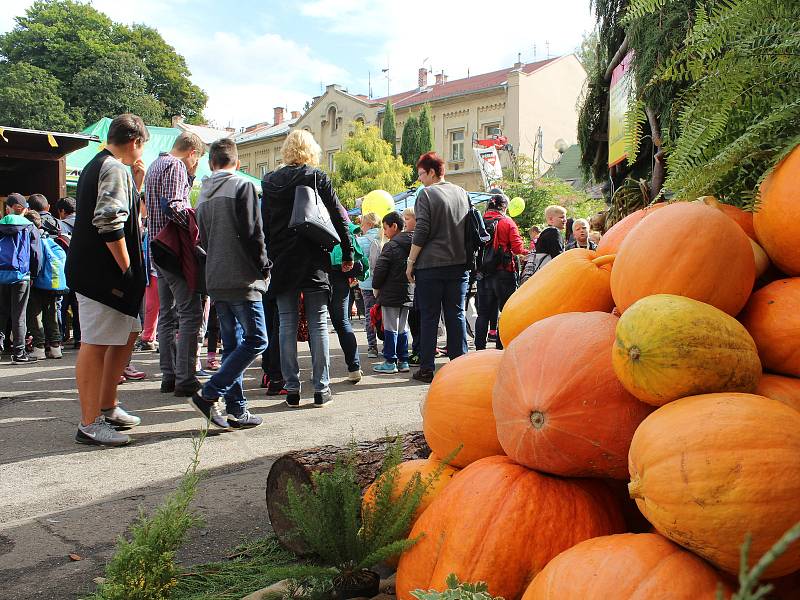 Zemědělská výstava na Libverdě.