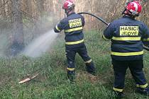 Zásah hasičů a dalších složek u stromu zasaženého bleskem.