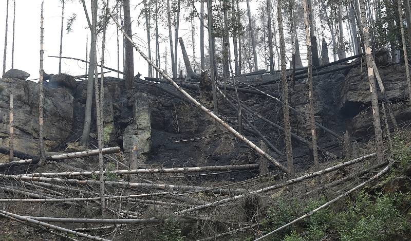 Hasiči bojují s požárem v Českém Švýcarsku. Středa 27. července.