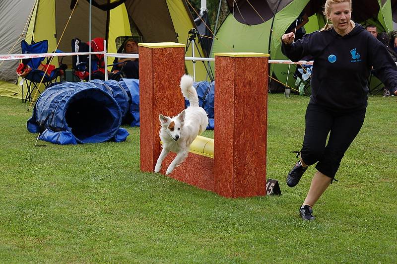 Dvoudenní psí závody agility Borec severu 2012 v Mikulášovicích.