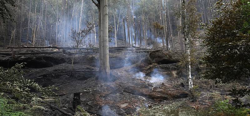 Symbolem požáru v Českém Švýcarsku se stala Mezná