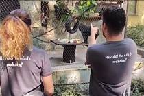V děčínské zoo nabízejí trika s makakem.