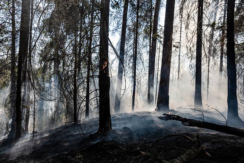 V Zadních Jetřichovicích hoří les, zasahuje vrtulník.