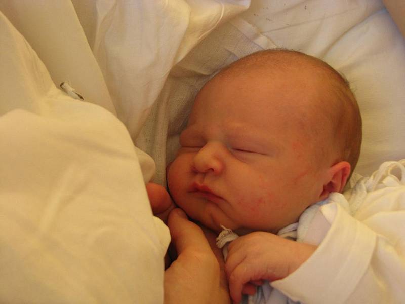 Alexandře Friedrichové z Děčína se 22. dubna 2010 v 0.35 hodin v ústecké porodnici narodil syn Sebastian. Měřil 49 cm a vážil 3,3 kg.