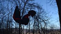 Paraglidista uvízl v Jílovém na stromě.