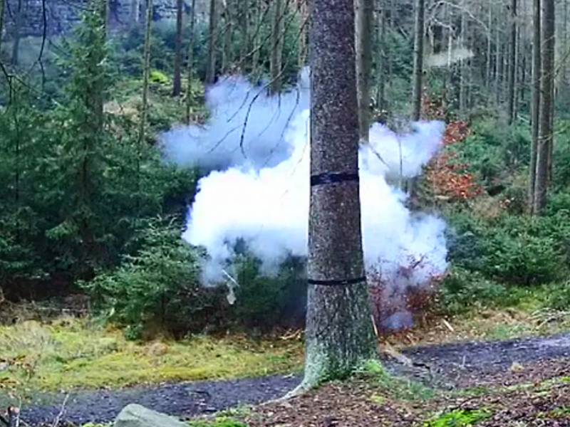 V Českém Švýcarsku zkouší experimentální těžbu stromů pomocí výbušnin.