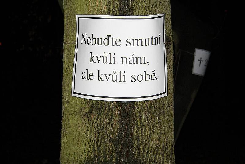 LOUČENÍ se stromy, které kvůli protipovodňové stěně budou muset padnout, uspořádala skupina aktivistů v Děčíně.