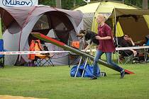 Dvoudenní psí závody agility Borec severu 2012 v Mikulášovicích.