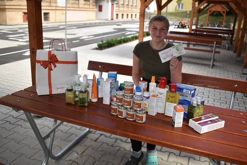 Spolužáci i veřejnost pomohli onkologicky nemocné školačce v Děčíně.