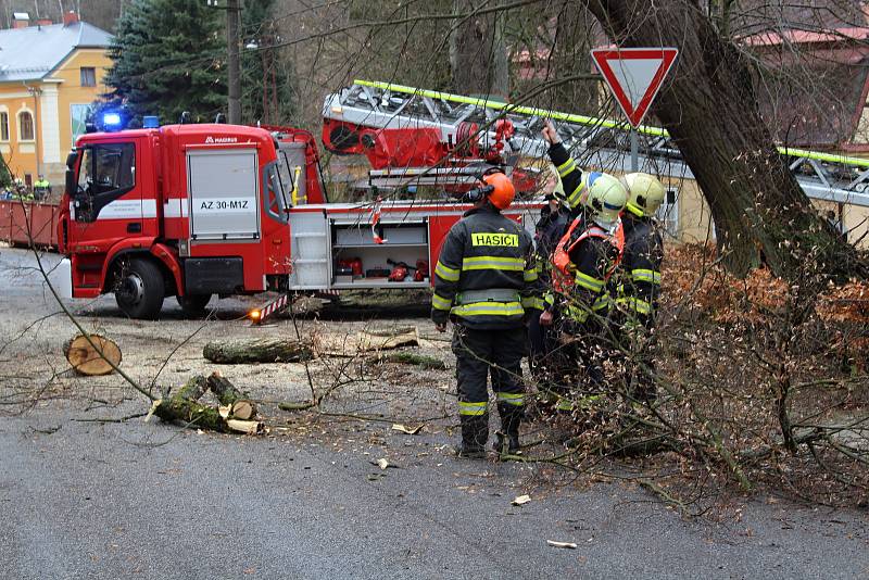 Třicetimetrovou lípu, která se v Bělé opřela o dům, hasiči rozřezali.