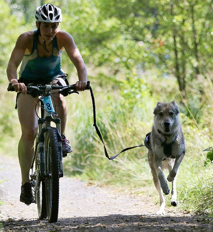 Stěklaton ve Varnsdorfu. 