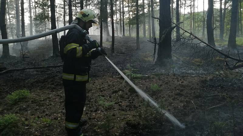 Hasiči bojují s požárem lesa. Hoří v těžko přístupném terénu.