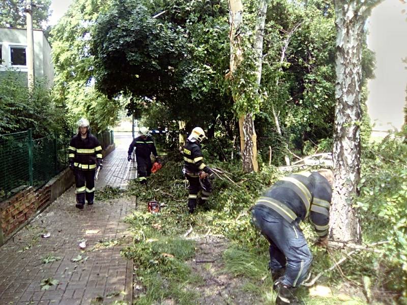 Bouřka zasáhla také břízu mezi domy na křižovatce Přemyslovy a Rakovnické ulice.