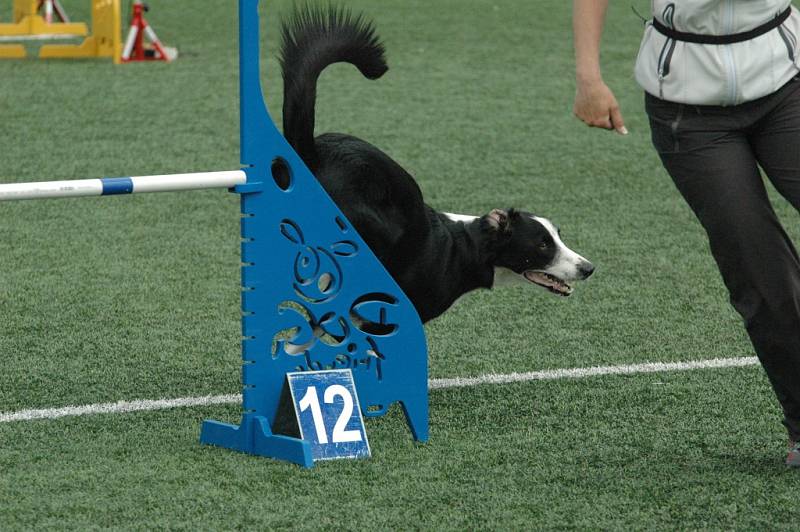 MĚSTSKÝ STADION v Děčíně hostil závody agility.