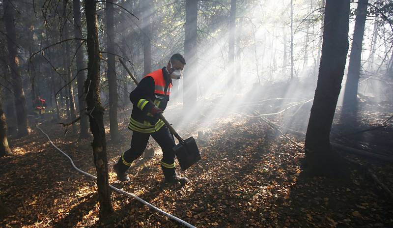 Lesní požár u Tisé hasiči likvidují už druhý den