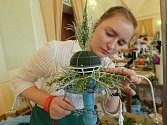 V rámci městských slavností probíhá na zámku v Děčíně soutěž v květinových vazbách na různá témata. Součástí je i výstava prací žáků škol, kteří se do soutěže přihlásili.
