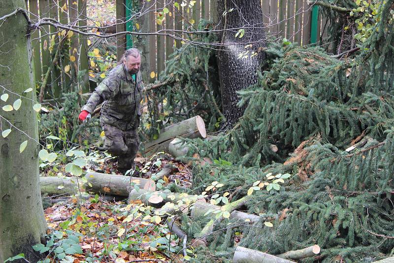 V zoo likvidovali v pondělí následky vichřice. Bylo nutné odstranit spadlé stromy a větve.