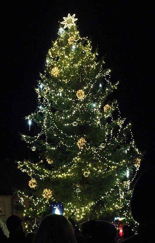 Vánoční strom ve Šluknově