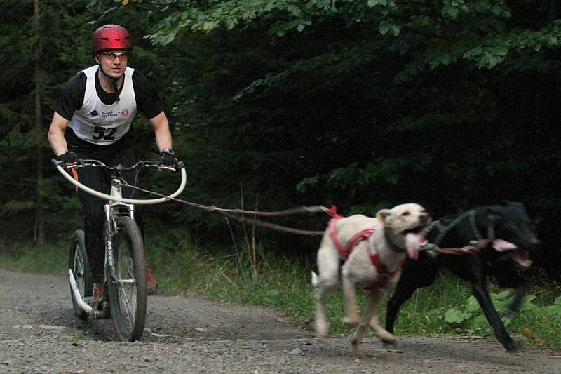 Do Děčína opět dorazili příznivci canicrossu a bikejöringu z Česka i dalších zemí Evropy