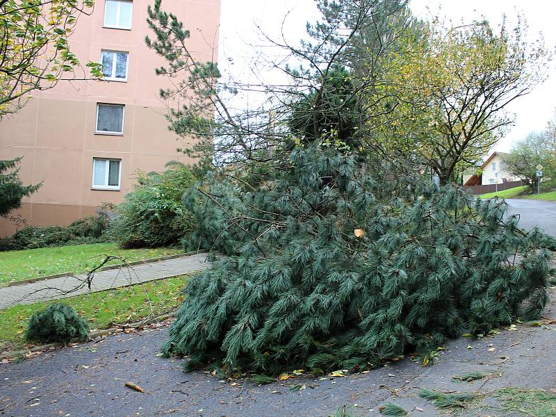 Několik stromů popadalo i na sídlišti v Želenicích.