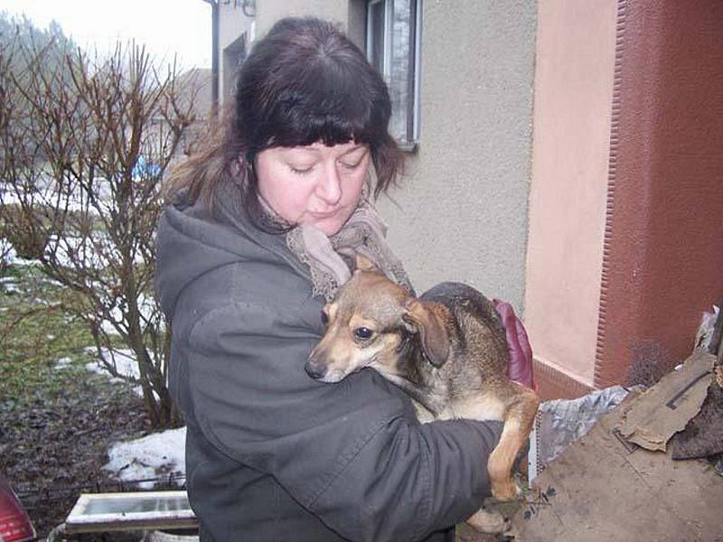 Smečku jednadvaceti psů ve Zvonovicích, která zůstala jako nechtěné dědictví po mrtvém člověku, čekal nemilý osud. 