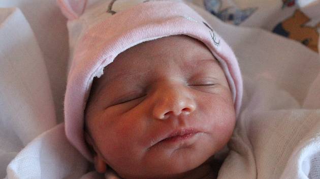 Anička Leová se narodila Andree Leové z Děčína 18. ledna ve 14.20 v děčínské porodnici. Měřila 43 cm a vážila 1,9 kg.