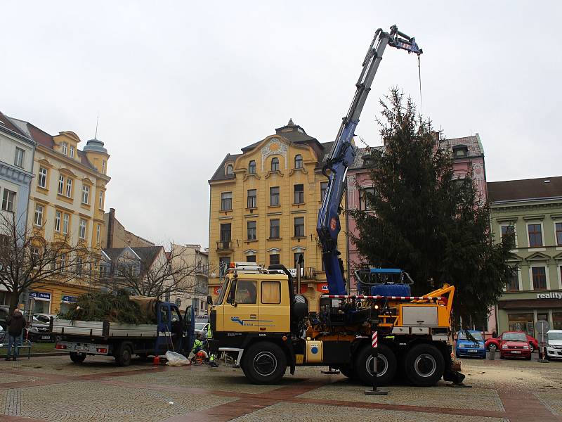 V pátek přivezli vánoční strom na Masarykovo náměstí v Děčíně.