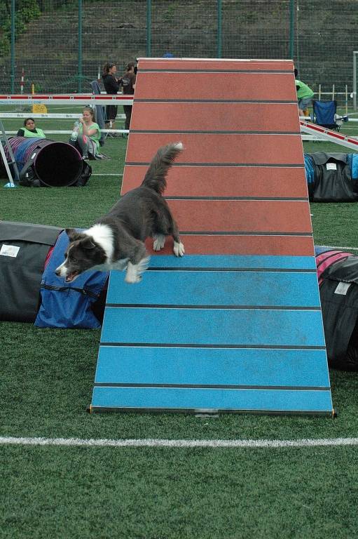 MĚSTSKÝ STADION v Děčíně hostil závody agility.