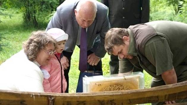 Lesnická škola ve Šluknově postavila nový včelín, využije jej pro výuku.
