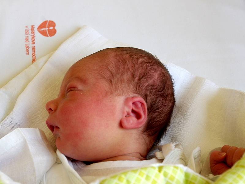Lucii Procházkové z Děčína se 18. září v 18.20 hodin v ústecké porodnici narodil syn Tomáš Procházka. Měřil 50 cm a vážil 3,27 kg.