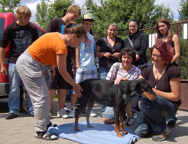 Jeden tisíc jedenáct korun se podařilo nastřádat studentům třídy D3 Střední průmyslové školy strojní a Dopravní v Děčíně.